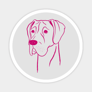 Great Dane (Light Gray and Berry) Magnet